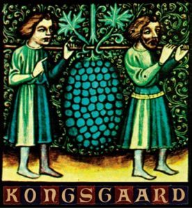 Kongsgaard The Judge Chardonnay 2013 January 15, 2016