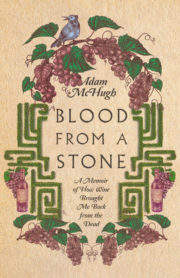 Book Cover of Blood from a Sone, A Memoir