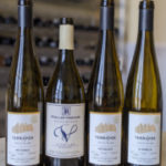 Missouri wines made from native American grape varieties and hybrids such as St. Vincent, Vignoles, Norton, Hidalgo, Wetumka, and Albania from a recent office tasting at Karen MacNeil & Co.
