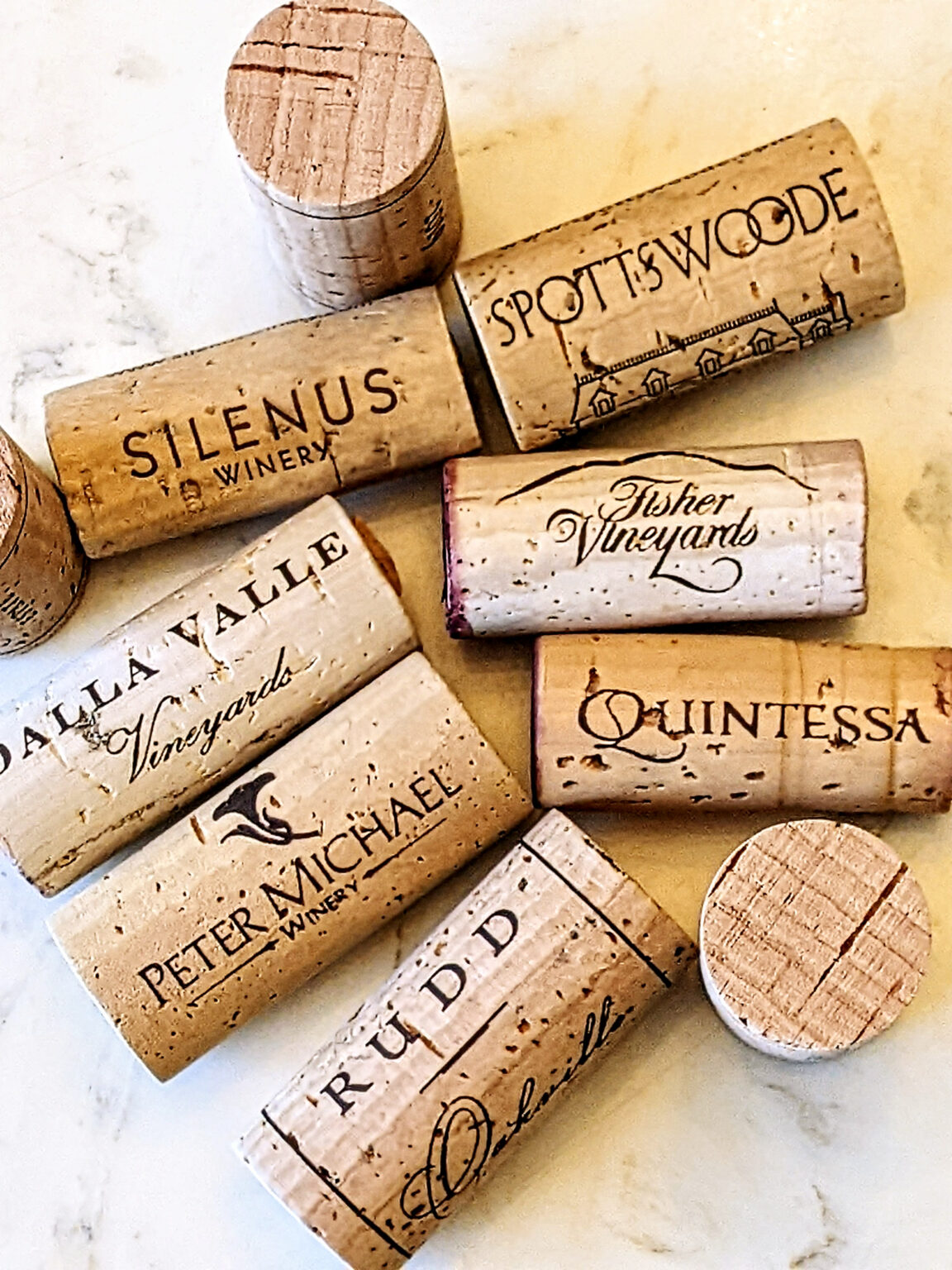 TEN SUPER IMPRESSIVE NAPA CABS - WineSpeed Blog - Karen MacNeil